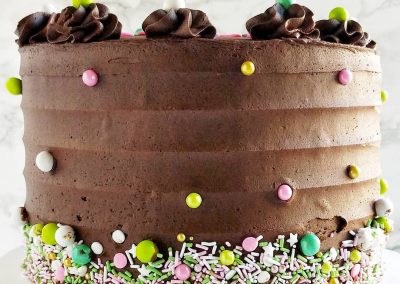 Chocolate Birthday Cake with sprinkles